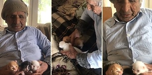 Yavru Kedileri Besleyen 90 Yaşındaki Haydar Dedenin Gözlerinizden Kalpler Fışkırtacak Görüntüleri