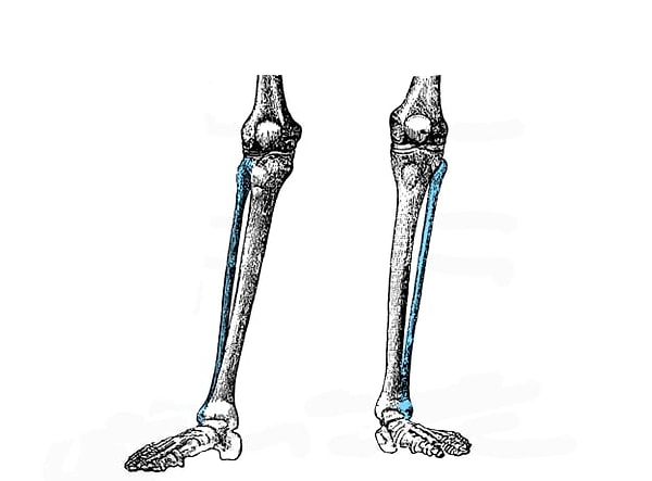 3. Голубым цветом показана...