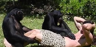 'Tarzan' Olarak da Bilinen Kody Antle'ın Kişisel Antrenörleri Olan Şempanzelerle Yaptığı Mekik Hareketi
