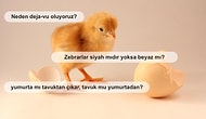 Yüzyıllardır İnsanlığın Kafasını Kurcalamayı Başarmış Soruların Cevabını Merak Ediyor musunuz?