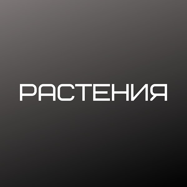 Вы оптимист!