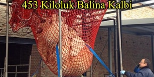 Acayip Bilgiler Kuşağında Bu Hafta: Dünyaya Bakış Açınızı Bir Nebze Değiştirecek 20 Gerçek
