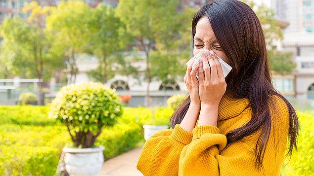 7. Mevsimsel alerjilerin belirtilerini ortadan kaldırır.