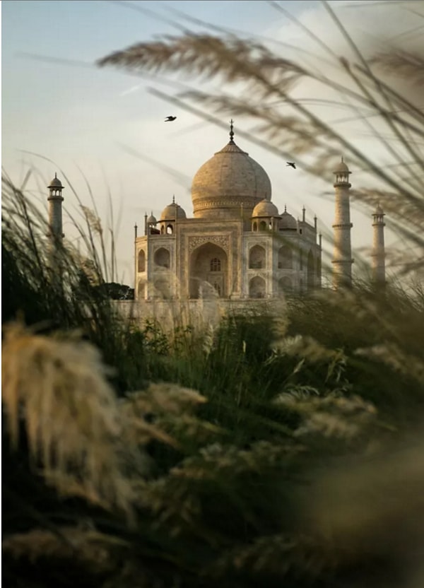 21. "Тадж-Махал". Автор: Райнер Уэльдер, категория: Города.