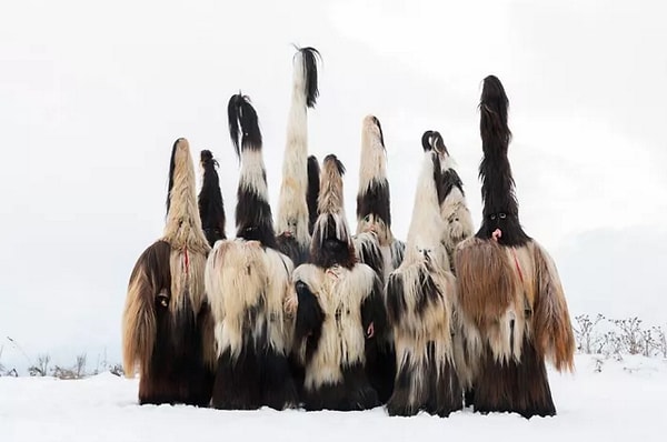 27. "Собрание кукеров". Автор: Кристин Тейлор, категория: Природа.