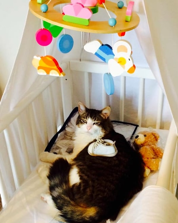 19. Что уставился, смерд? Музычку заведи!