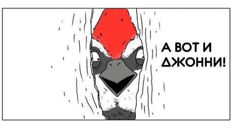 10 юморных комиксов «Если бы птицы умели говорить»