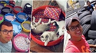 İyi İnsanlar Hâlâ Aramızda! Bulduğu Atık Lastiklerden Kedi ve Köpekler İçin Yatak Yapan Brezilyalı Adam