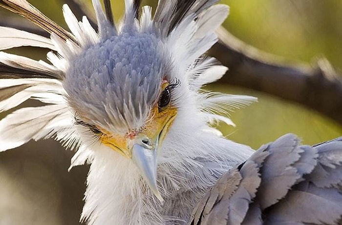 Уникальная красота природы на фотографиях Брайана Коннолли