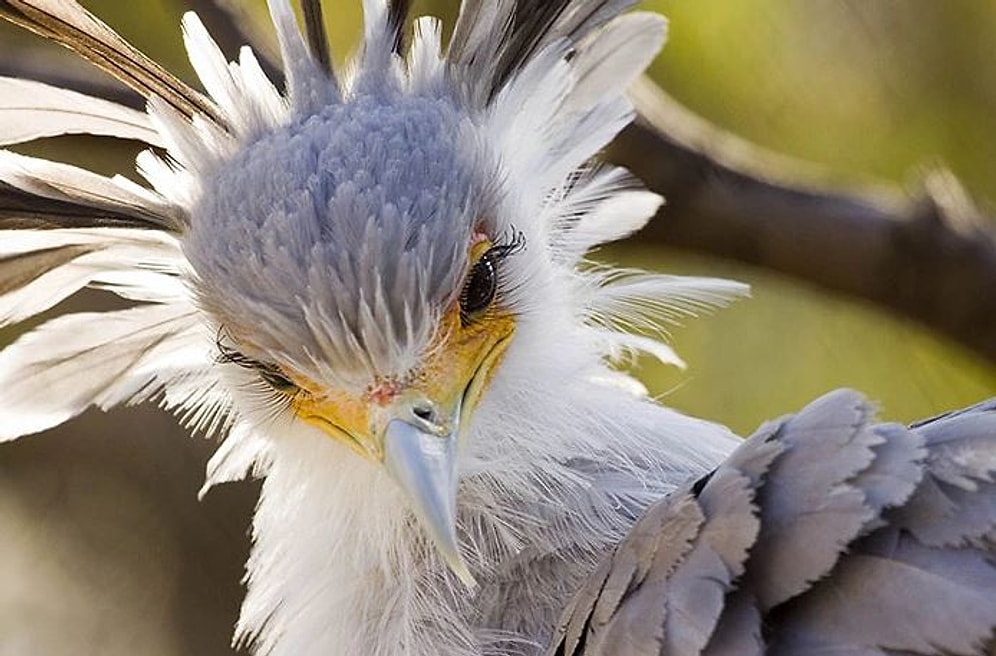 Уникальная красота природы на фотографиях Брайана Коннолли