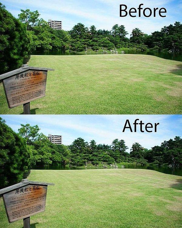15. Parklar o kadar temiz ki park temizliğinden önceki ve sonraki hal arasında bir fark yok.