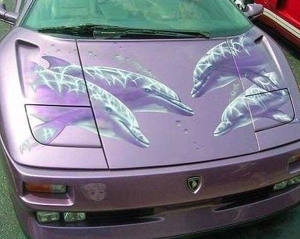 2. Хозяин автомобиля любит подводный мир :)