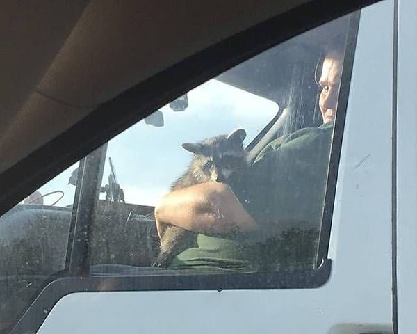 30. Не лучший попутчик