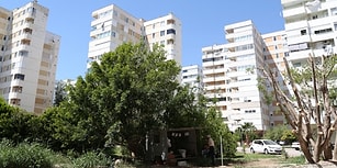 Hayvanlar İçin Bahçeye Konan Karavan Siteyi İkiye Böldü: 'Başka Biri de İnek Beslerse Ne Olacak?'