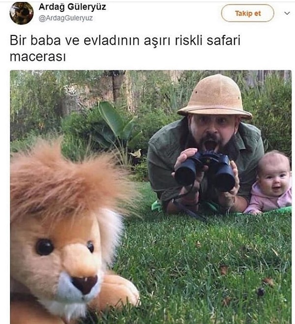 13. Safari.