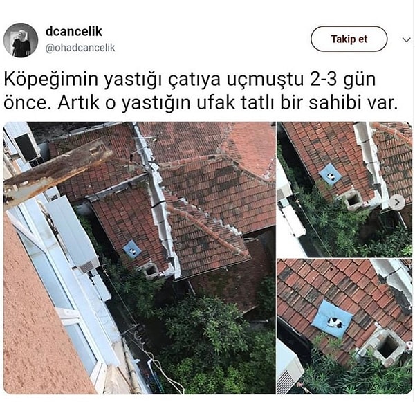 12. Güle güle kullan dost.