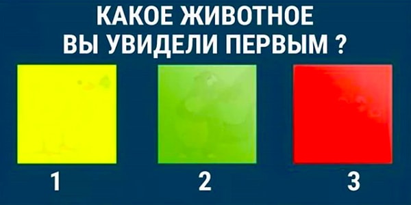 Какое животное вы увидели первым?