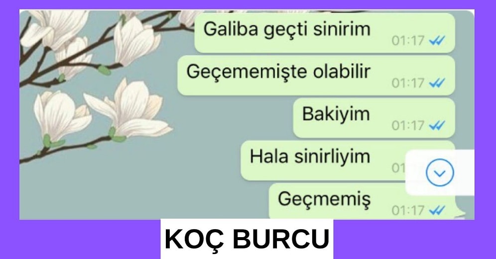 Onlara Çok Haksızlık Yaptık Çok! İşte Koç Burcu İnsanıyla Evlenmeniz İçin Elle Tutulur 13 Neden