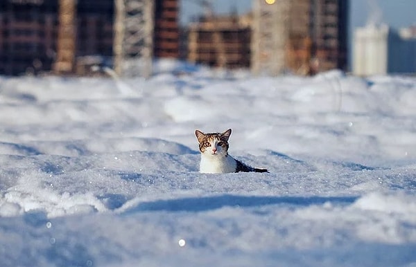 6. Почему снег белый, хотя снежинки прозрачные?