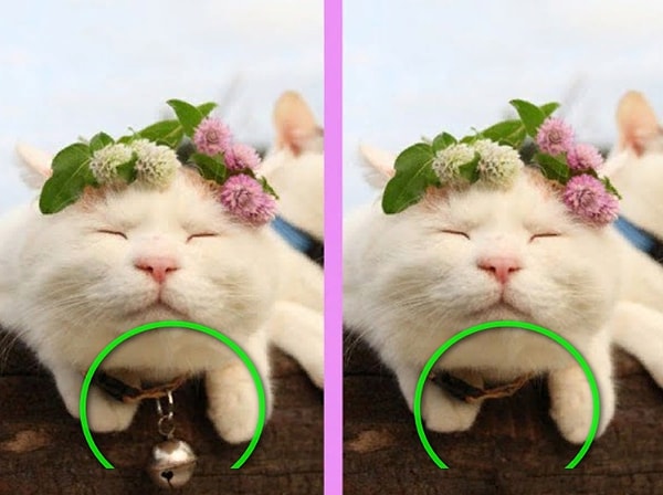 Посмотреть ответ: