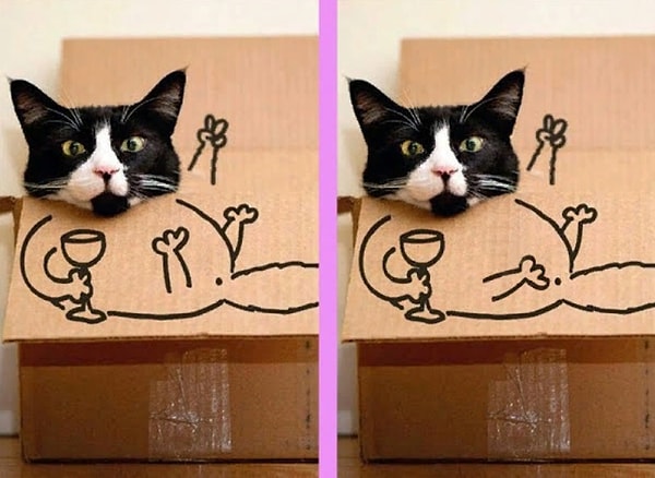 5. Нашли отличие?