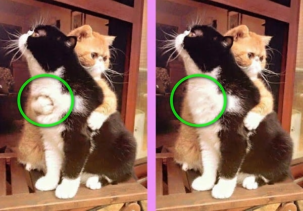 Посмотреть ответ: