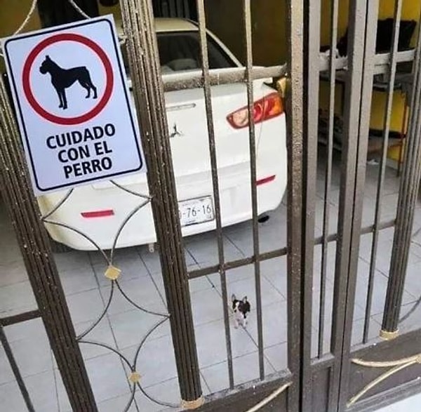 3. "Порву, как тузик грелку!" =)