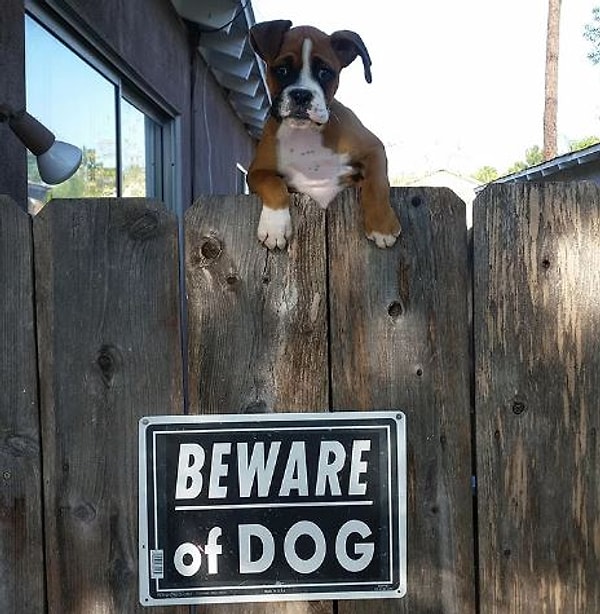 16. "У тебя косточки есть?"