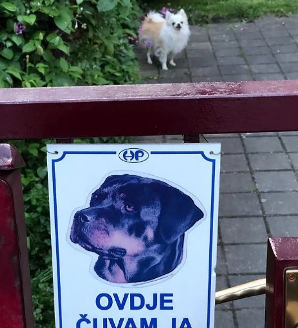 22. "Ну очень неудачная фотография" =)