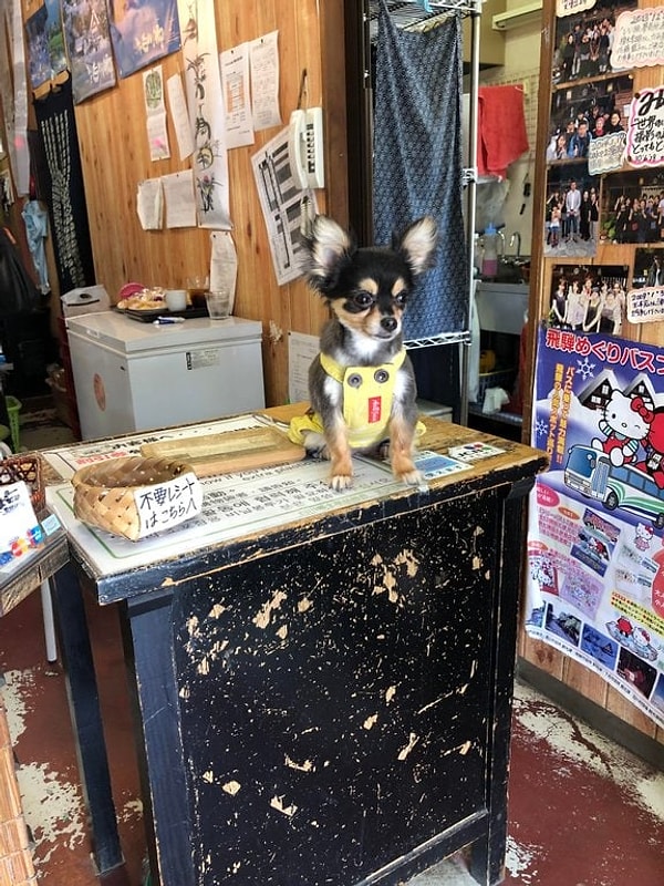 16. Продавец в сувенирном магазине