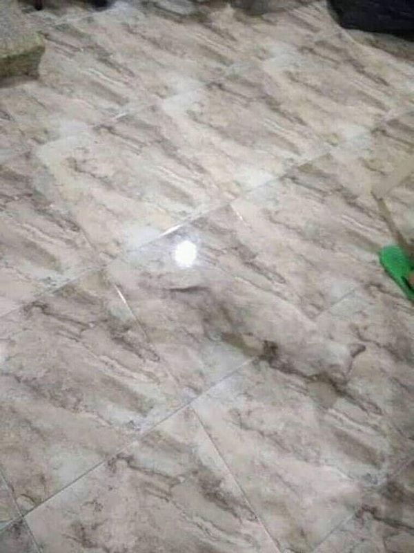 15. Кто-то очень хорошо замаскировался