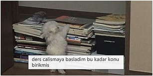 Yaklaşan Sınav Dönemlerinde Ders Çalışma Zorunluluklarını Paylaşımlarıyla Kaynatmış 17 Kişi