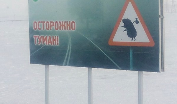 7. В поисках лошадки :)