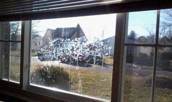 16. Собачники поймут