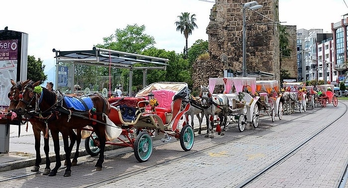 Antalya Belediyesi de Faytonu Kaldırdı: 'Diğer Şehirlere Örnek Olsun'