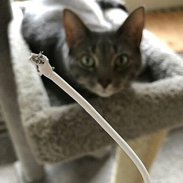 14. За секунду до...