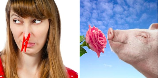 Цветовой тест, который угадает, какой запах идеально подходит вашей личности