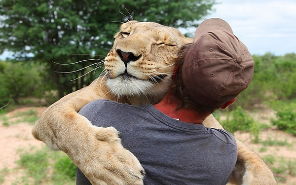 3. Налог на обнимашки?