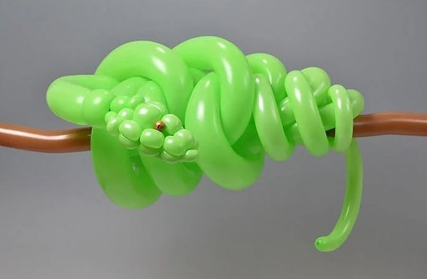 7. Древесный питон