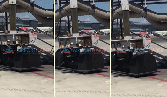 Çevredeki Ağaçlara Konamayan Arılar, İstanbul Havalimanı'nı İstila Etti!