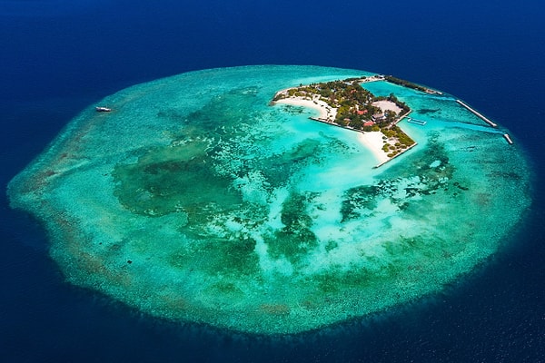 1. Белые песчаные пляжи на Мальдивских островах в основном состоят из фекалий морских рыб.