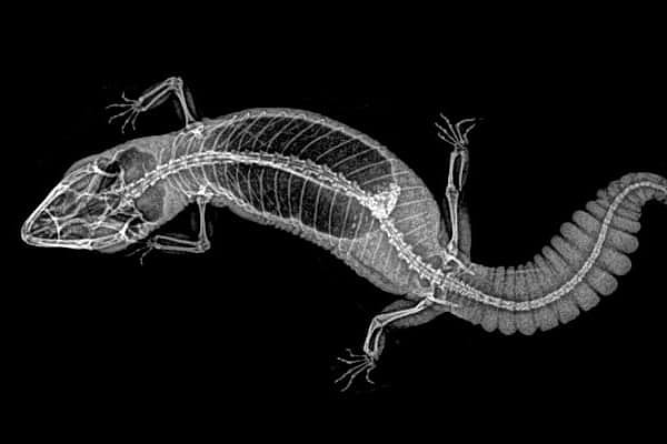 10. Осталось немного. Продолжаем подключать мозг и интуицию.