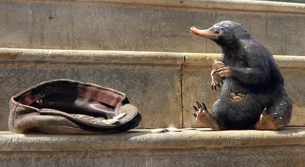 10. Из какого фэнтези этот предприимчивый зверь?