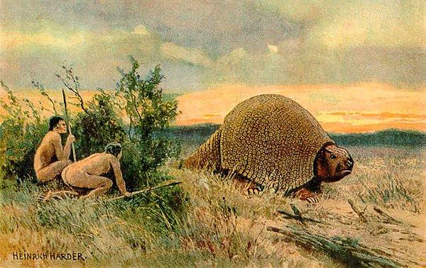 4. Güney Amerika'daki ilk insanlar araba boyundaki Armadilloları avlar ve kabuklarını ev olarak kullanırlardı.