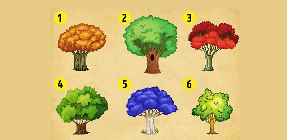 Тест: Выберите дерево и узнайте, какие перемены ожидают вас этой осенью