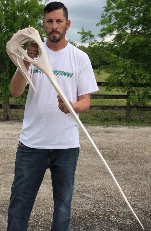 1. Опасная некогда рыба-меч