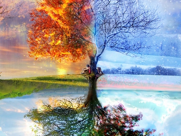 3. В какое время года вы родились?