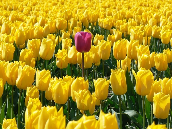 Вы нонконформист!