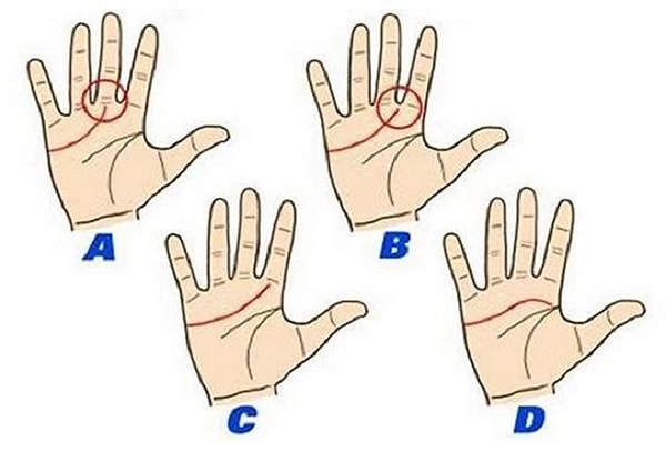 Итак, как найти линию сердца? Она начинается примерно между указательным и средним пальцами и тянется до края ладони в сторону мизинца. Нашли? А теперь внимательно изучите ее, взгляните на картинки снизу и ищите свою линию сердца. А мы расскажем, что она означает.
