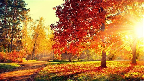 5. Что вы испытываете, глядя на этот снимок?